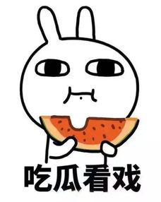 突崽吃瓜,揭秘娱乐圈的幕后故事